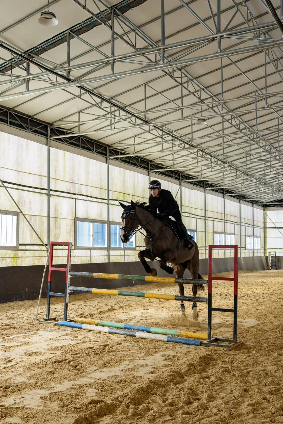 SEL2470GM2 | 말과 기수를 찍으며 확인한 '신뢰의 AF'_10.webp