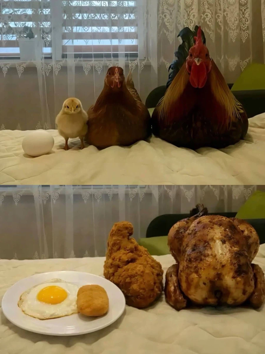 가족 사진_1.webp