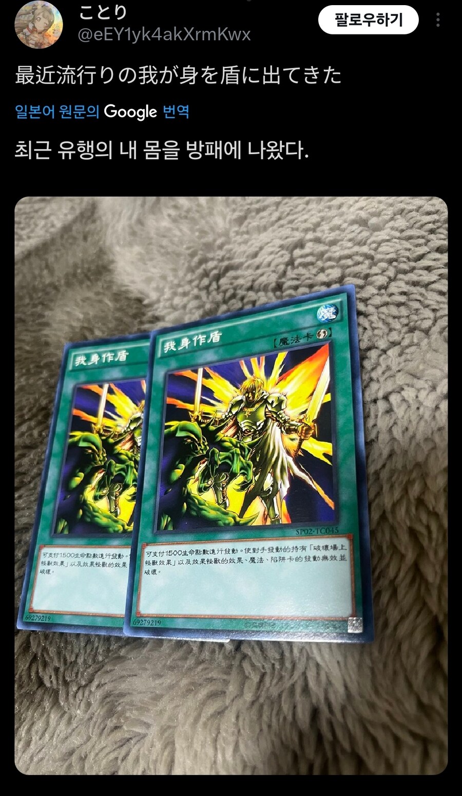 요즘 일본에서 주목 받고있는 내 몸을 방패로_2.jpg