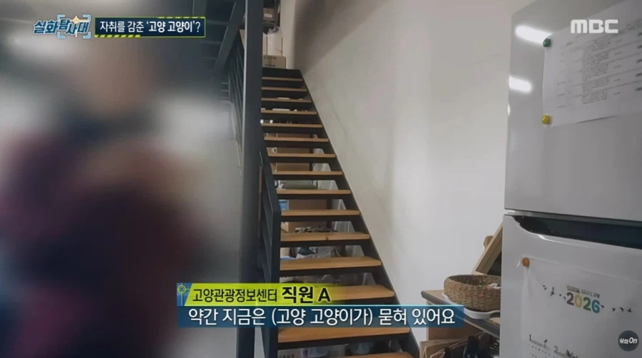 고양시의 마스코트 근황_15.webp