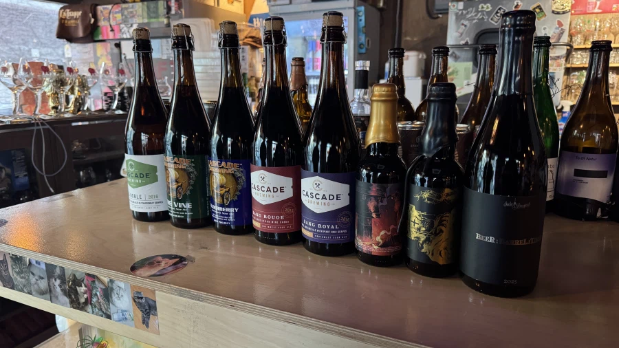 성심당도 태평소도 없는 대전 먹자 여행_25.webp