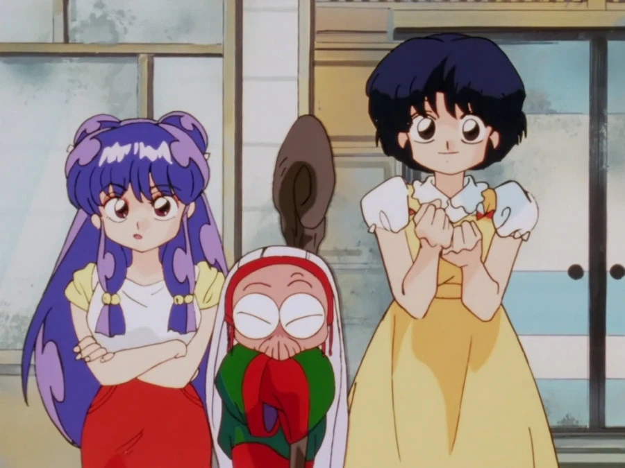 한때 국내 커뮤니티에서 정설처럼 돌았던 란마 1/2썰들_2.webp