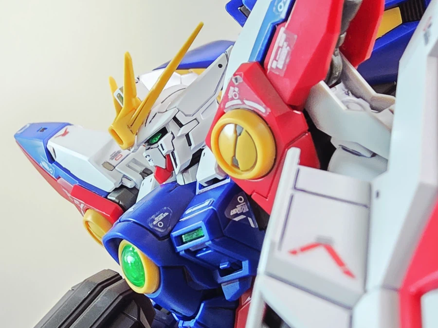 윙제로와 알제로_8.webp