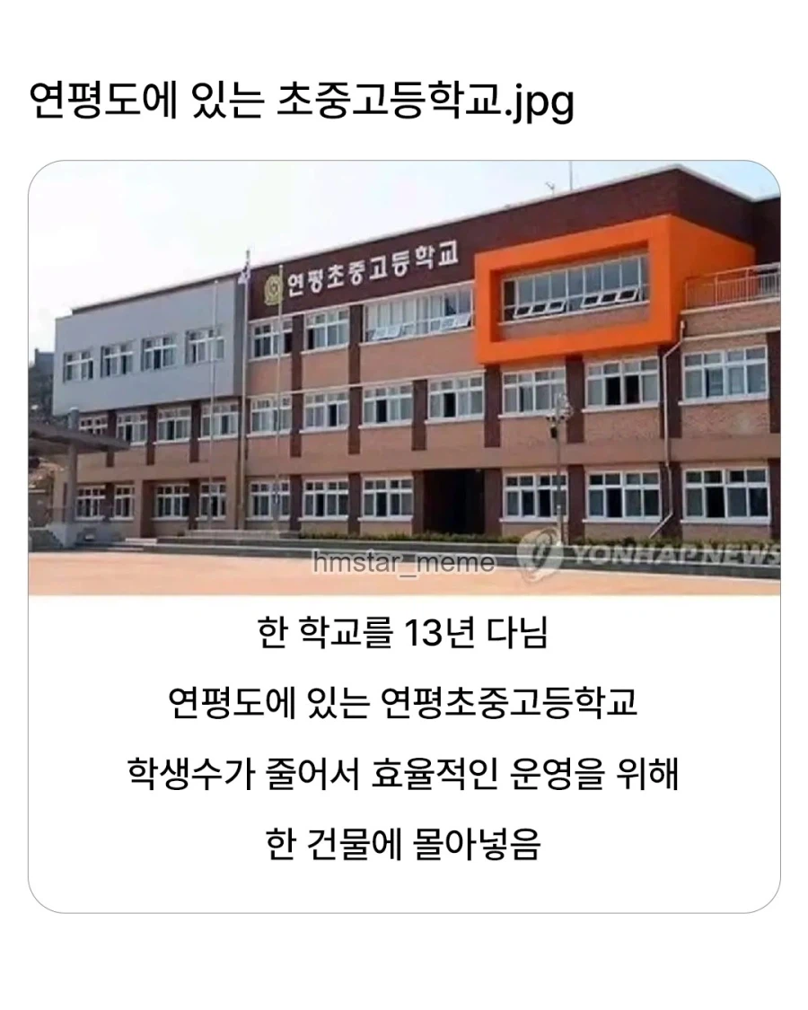초중고등학교의 가성비 세팅_1.webp