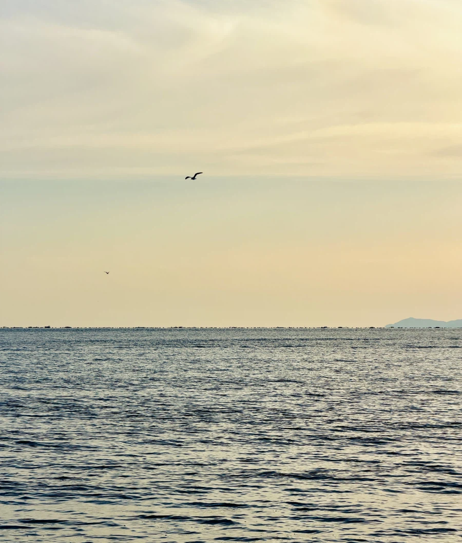 부산 다대포_4.webp