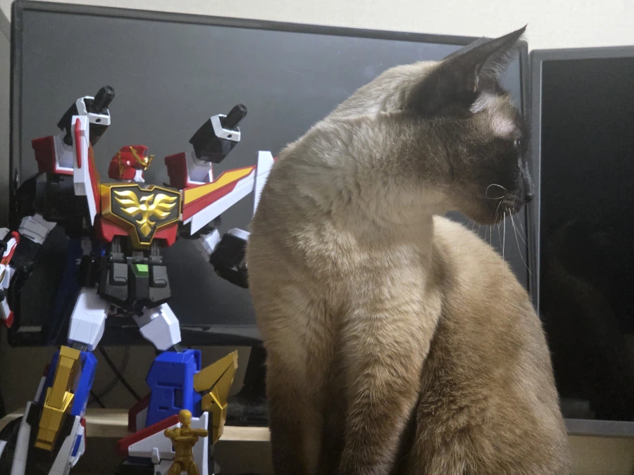 뭐가 그레이트썬가드냐 내가 끝장내주겠다!!!_5.webp