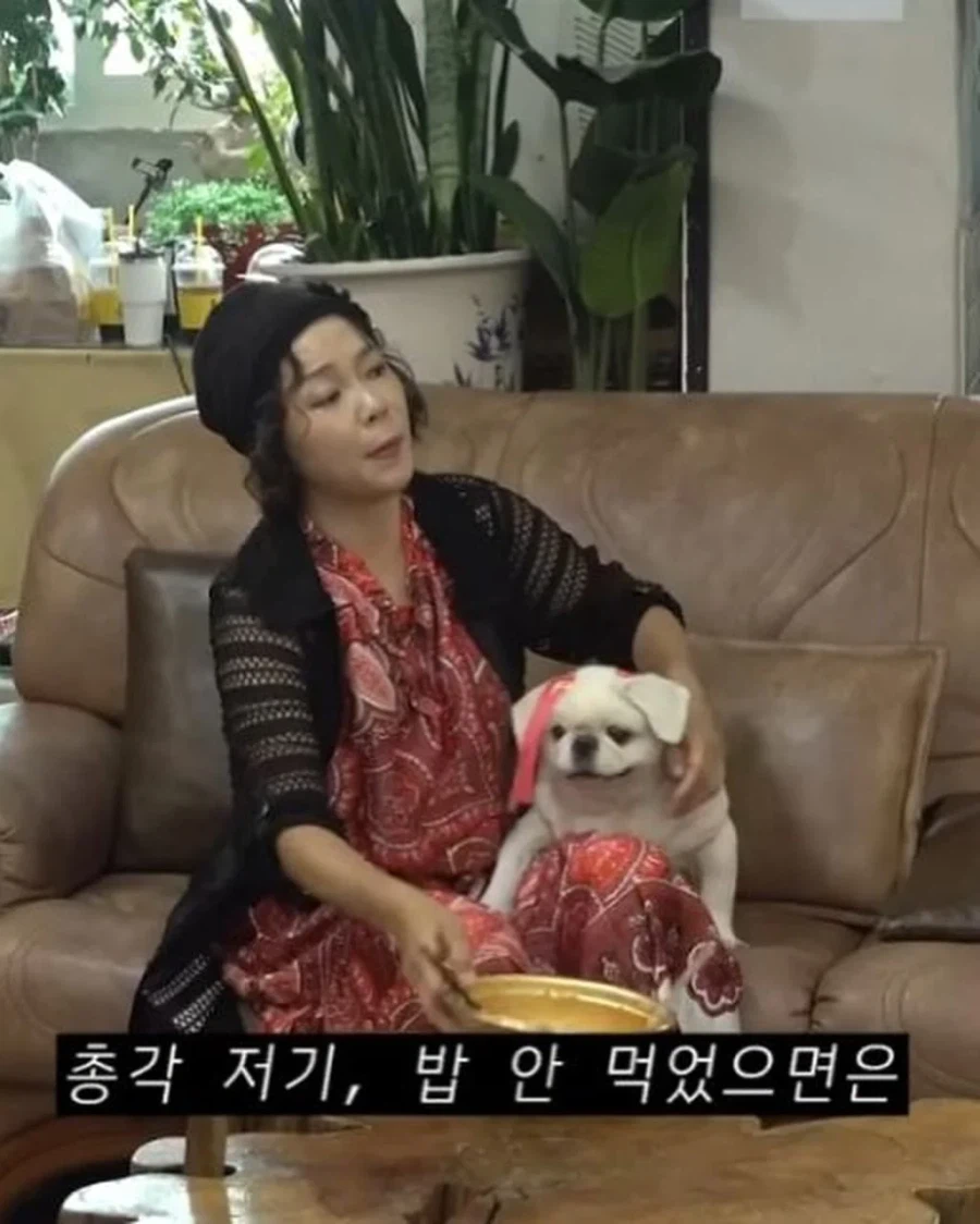 산책로 화장실에서 발견된 강아지의 최후.jpg_4.webp