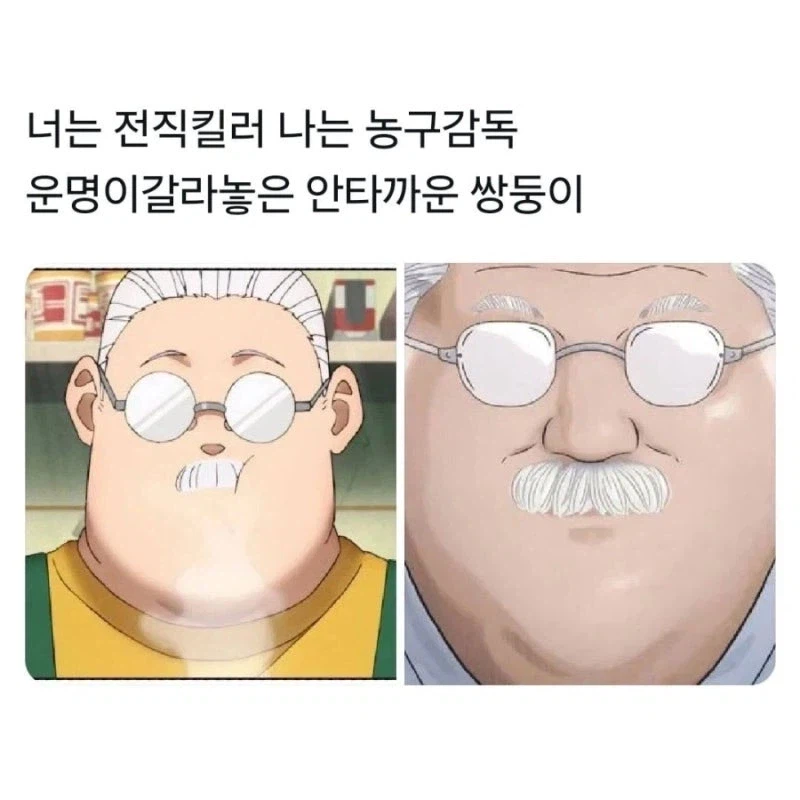운명이 갈라놓은 안타까운 쌍둥이.jpg_3.webp