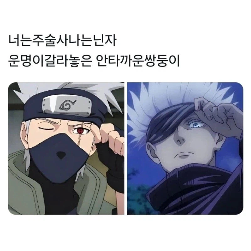 운명이 갈라놓은 안타까운 쌍둥이.jpg_6.webp