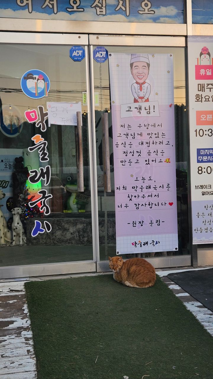 올만에 막줄래국시 ~! 만두국_1.jpg