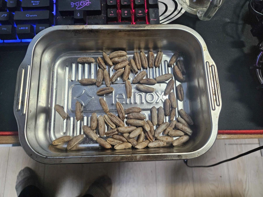 이건 어느 탭으로 올려야 하나 싶은 대추야자 커피 도전기_2.webp