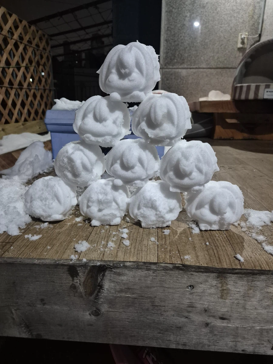 다음 겨울까지 못쓸지 모르는 도로롱 눈집게_2.webp