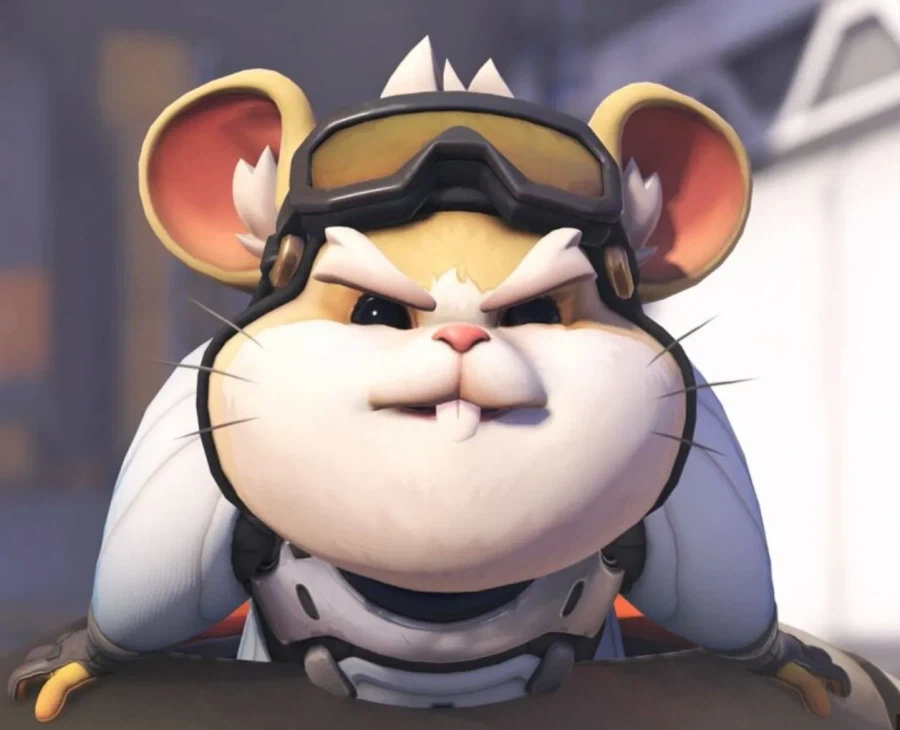 제트팩 캣인지 뭐신지 냥이새끼 와꾸 개빻았던데 뭐 볼 게 있다고 지랄들이냐_1.webp