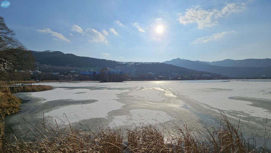 집밥 먹는게 귀찮아서 동네 초밥 뷔페 갔다왔네요.._17.jpg