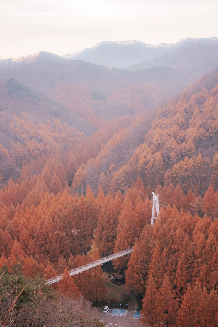 SEL2470GM2 | 붉게 물든 숲을 기억하는 방법_5.webp