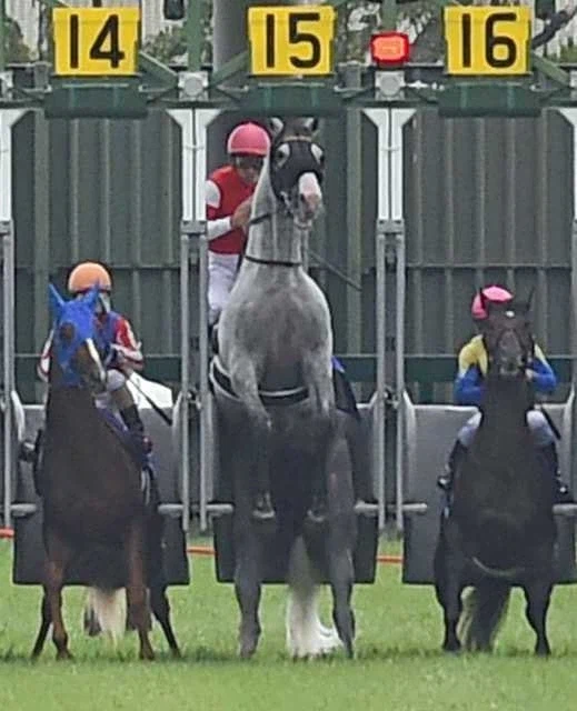 경마는 결코 스포츠가 될 수 없을까?_10.webp