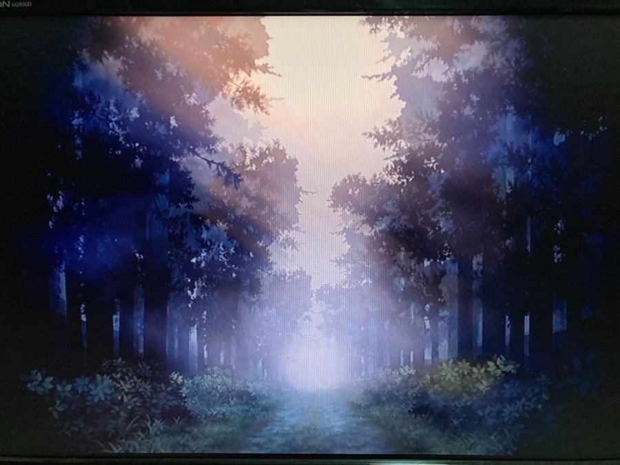 오보로 무라마사 (朧村正)_49.jpg