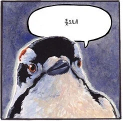 남성 전용 헬스장에서 남자다움을 보여주는_3.webp