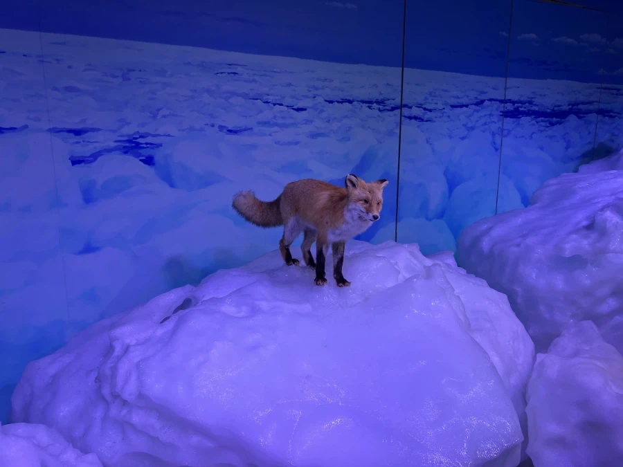 좌충우돌 홋카이도 횡단 여행_193.webp