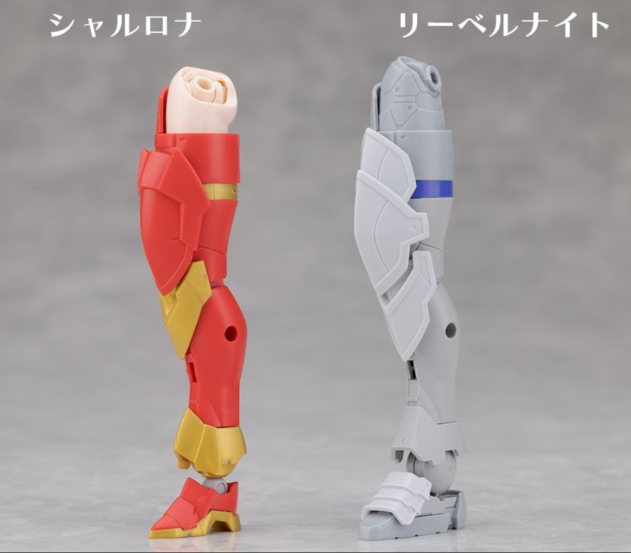 30 MINUTES SISTES 샬로나 아니마토 폼 해외 리뷰_41.jpg