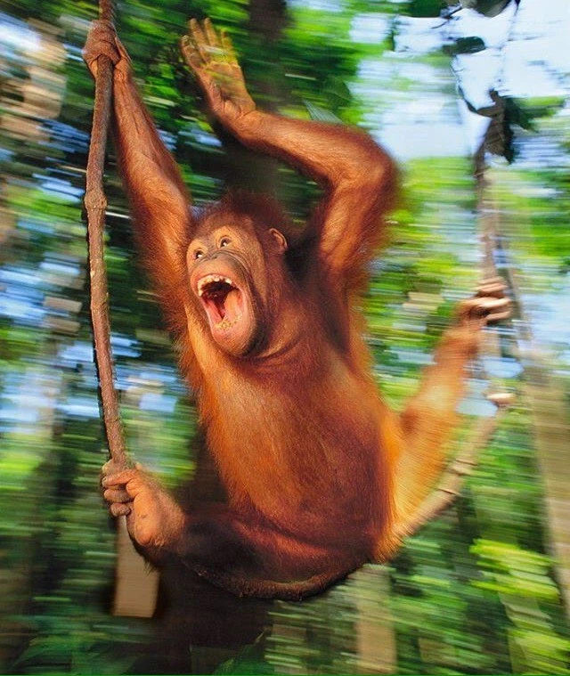 퇴근 채고_2.webp