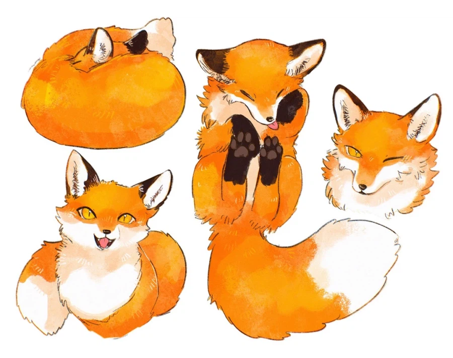 🦊 : 앙냥냥💖 (꾸왁)_6.webp