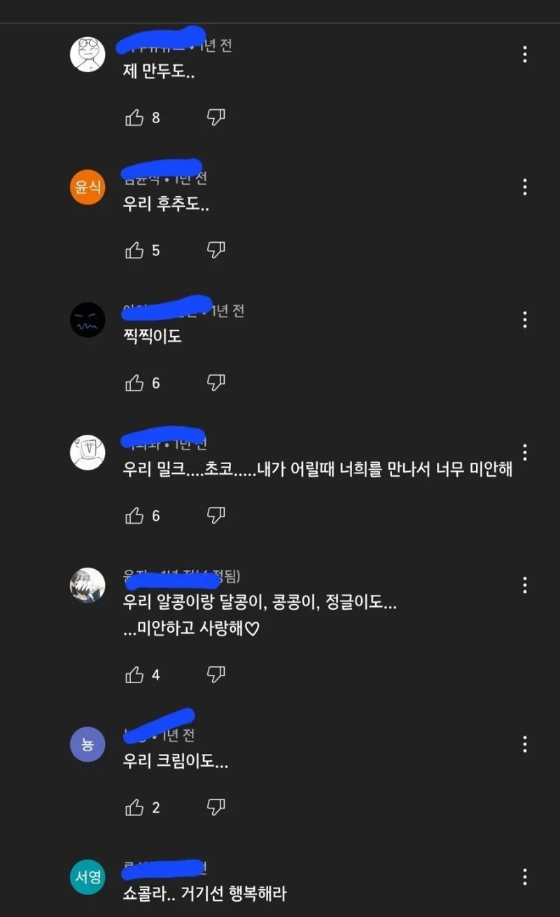 햄스터를 그리워하는 집사들_2.webp