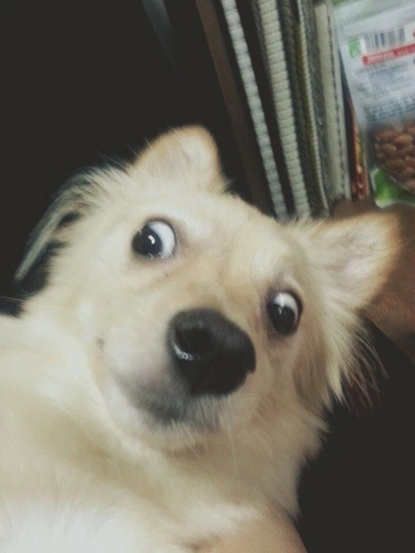 Ai 대단하지 대단하긴 한데_1.webp