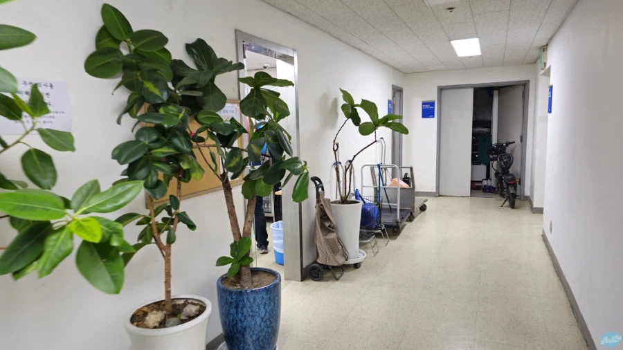 청량리 & 홍대 둘러보기.. 서울 나홀로 궁상여행 2일차_9.webp