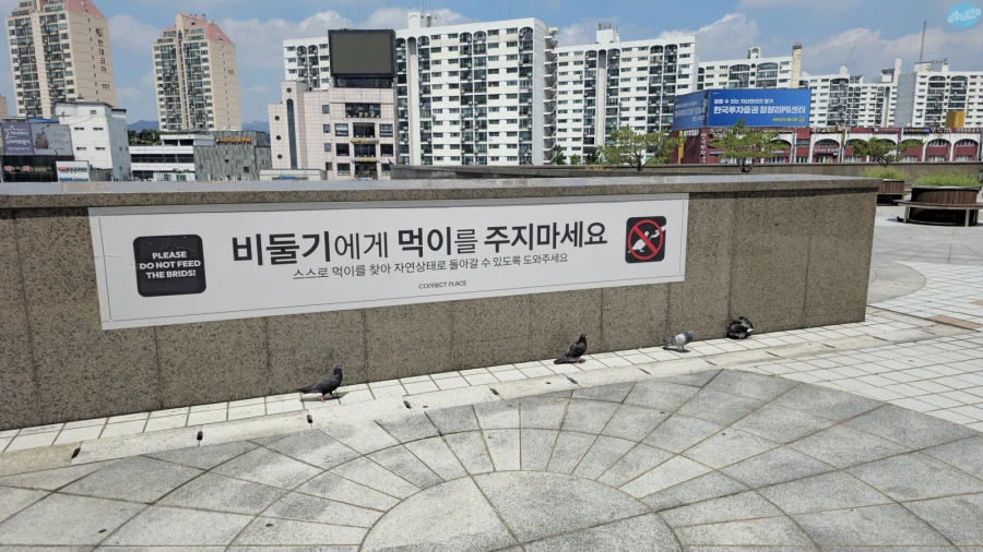 청량리 & 홍대 둘러보기.. 서울 나홀로 궁상여행 2일차_22.webp