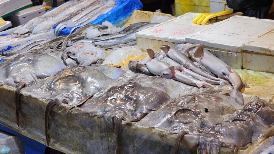 청량리 & 홍대 둘러보기.. 서울 나홀로 궁상여행 2일차_62.webp