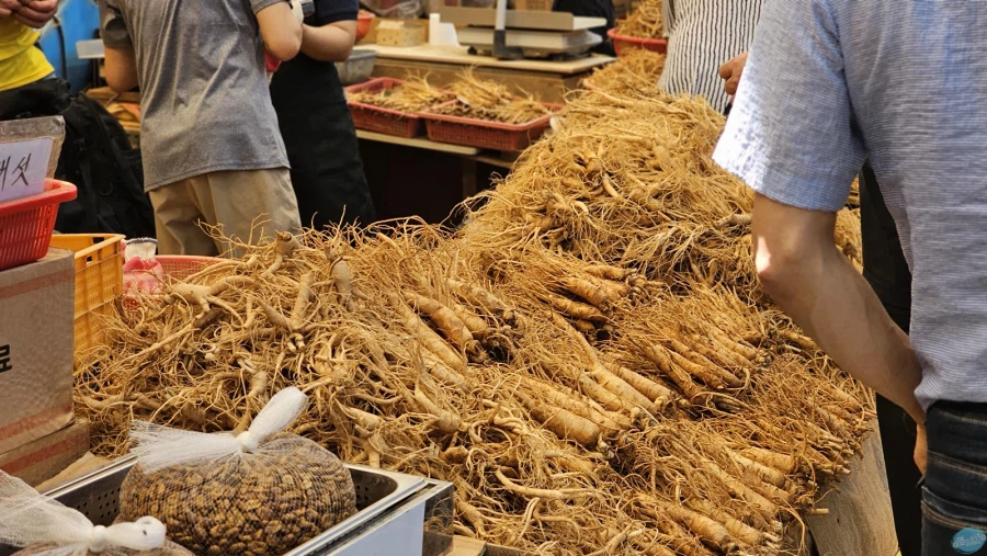 청량리 & 홍대 둘러보기.. 서울 나홀로 궁상여행 2일차_66.webp