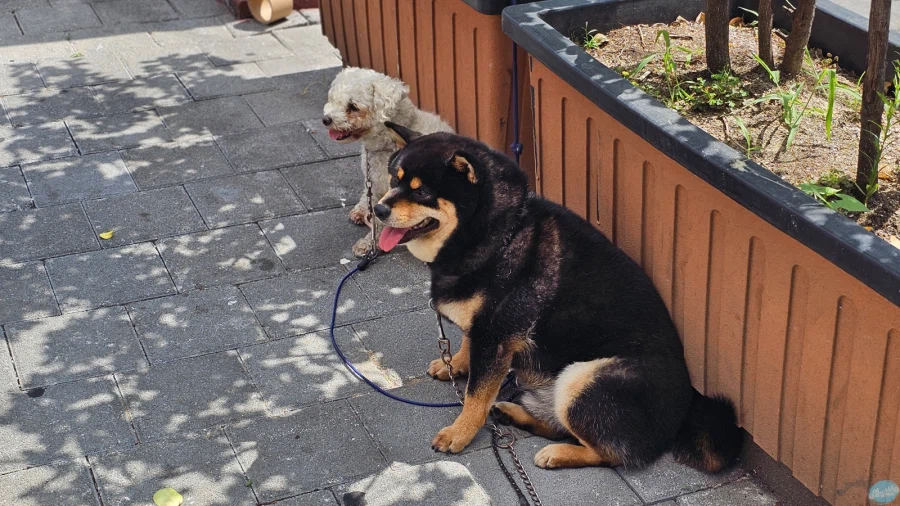 청량리 & 홍대 둘러보기.. 서울 나홀로 궁상여행 2일차_107.webp