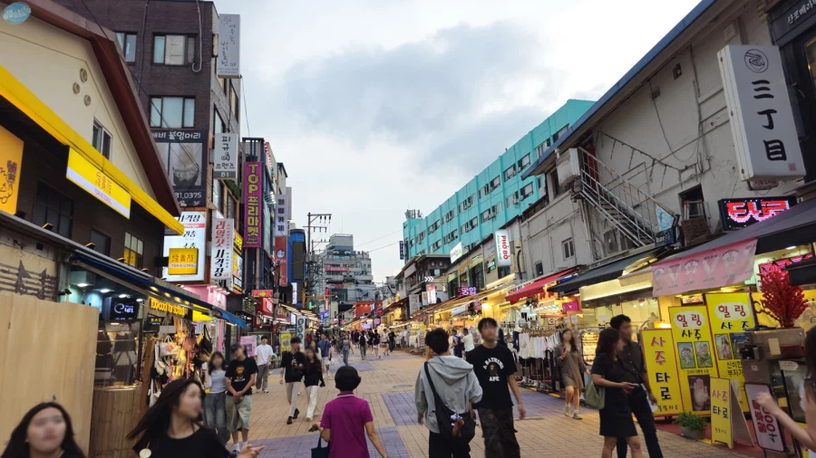 청량리 & 홍대 둘러보기.. 서울 나홀로 궁상여행 2일차_143.webp