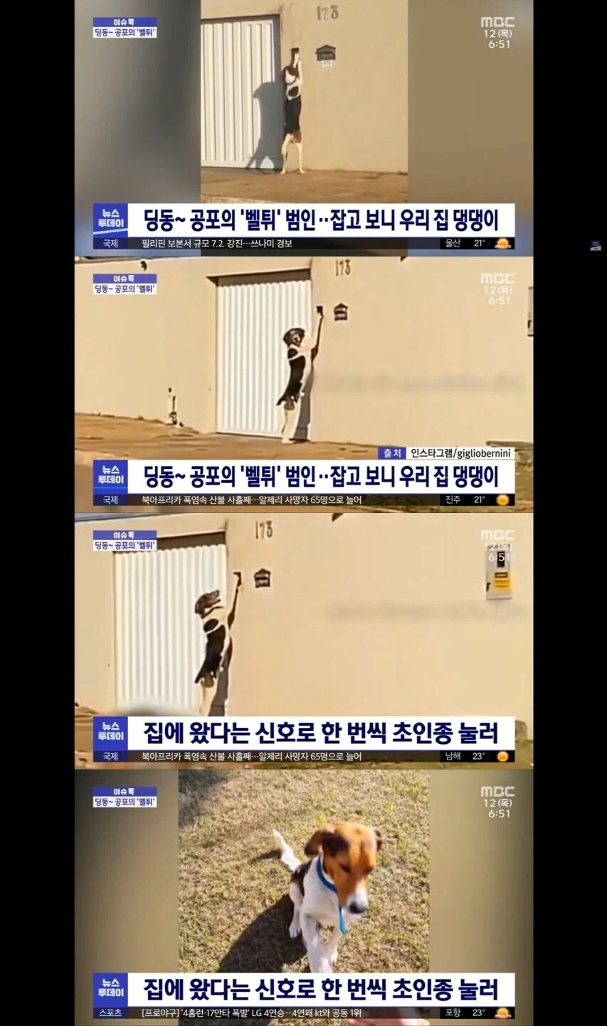 벨튀 범인 체포.jpg_1.webp