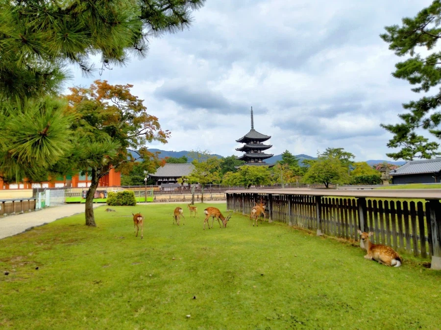 [요모] 오사카 대가족여행, 료칸까지 편하게 다녀왔어요 - 3박 4일 134만원_1.webp