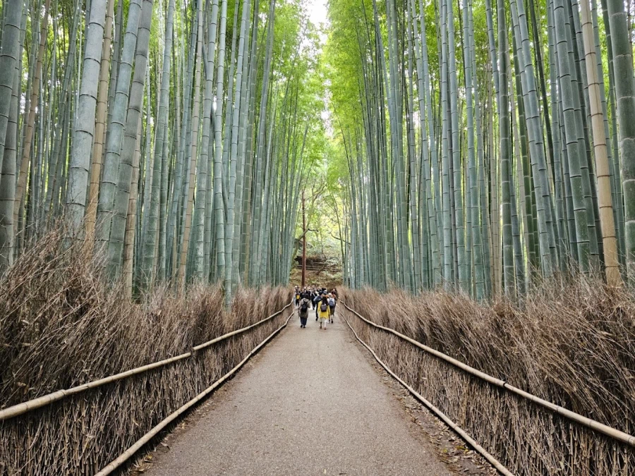 [요모] 오사카 대가족여행, 료칸까지 편하게 다녀왔어요 - 3박 4일 134만원_3.webp