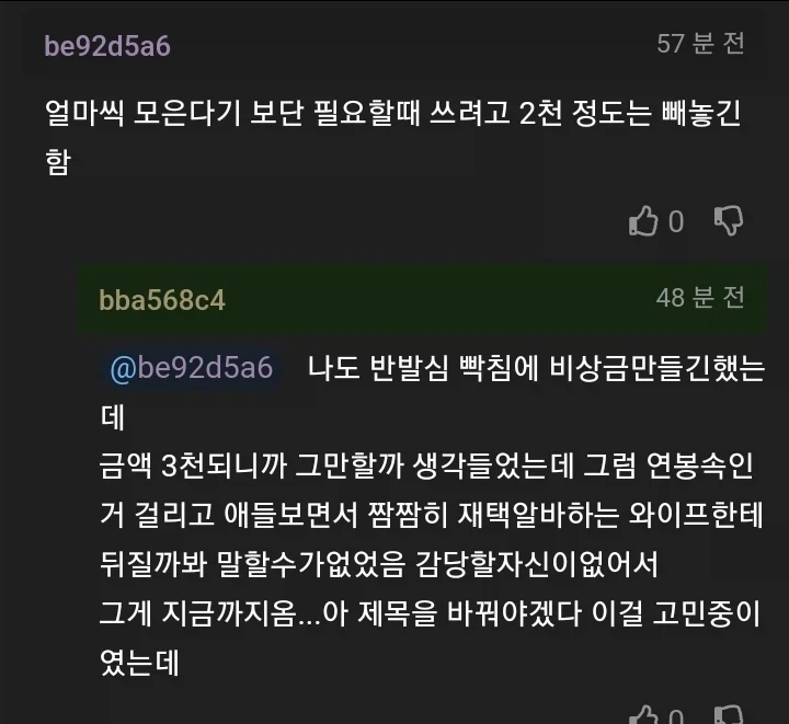 와이프 몰래 비상금 모은거 용서해줄까 고민하는 사람.jpg_2.webp