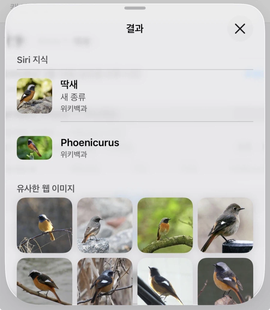 (아이폰) 아이폰으로 새 찍어봤는데 개신기함 ㅋㅋㅋ_3.webp