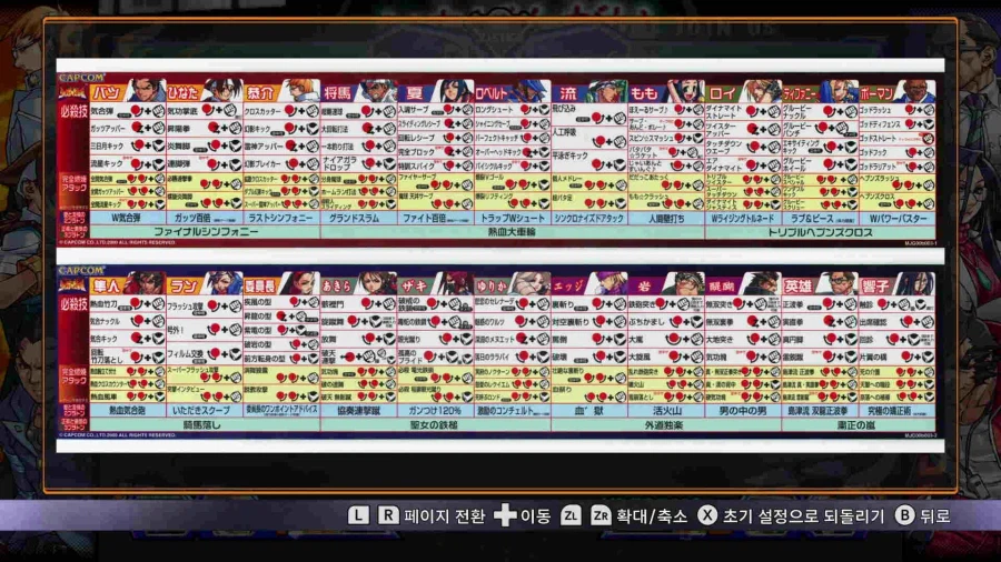 캡콤 파이팅 콜렉션 2_47.webp