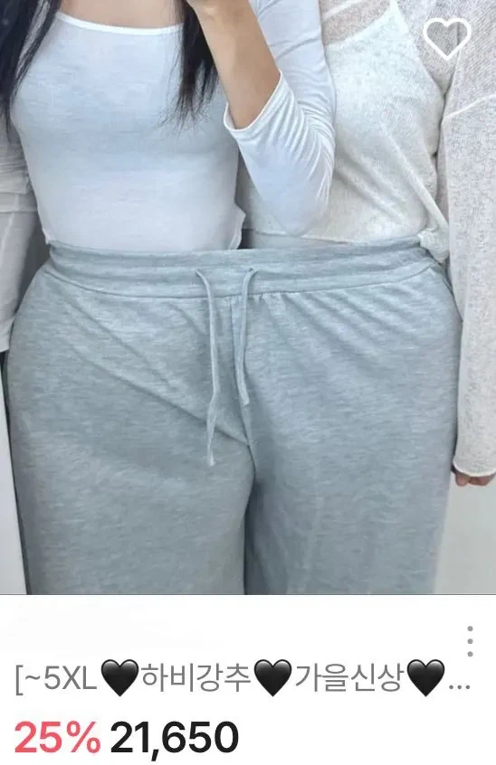 여성 빅사이즈 의류몰 제품사진 레전드_1.webp