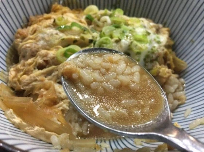 한국에서 가츠동 주문 했을 때 흔히 벌어지는 참사.jpg_5.webp