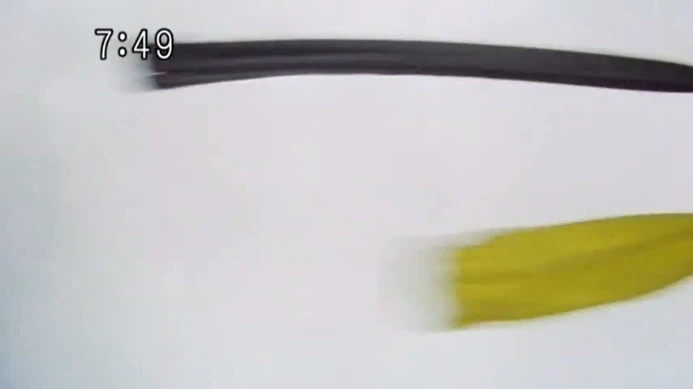 [수권전대 게키레인저] 니 스승? 이거 말이냐?_49.webp