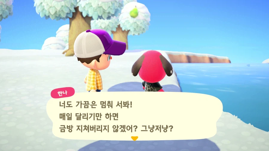 모여봐요 동물의 숲_1.webp