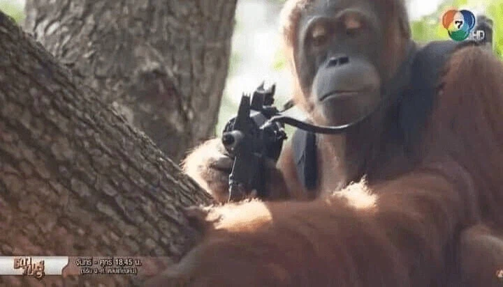 눈마새) 게임판에 등장하는 영웅왕 무기들 특_8.webp