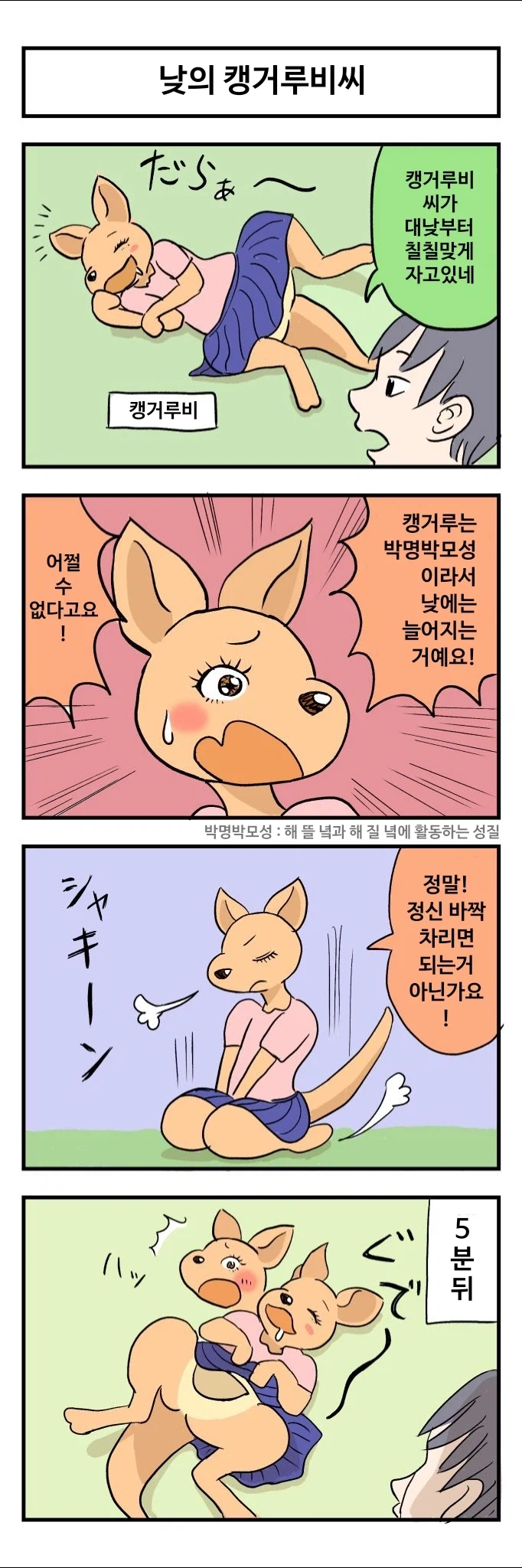 캥거루비씨와 나_4.webp