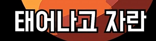 오버워치) 합법 열살_2.webp