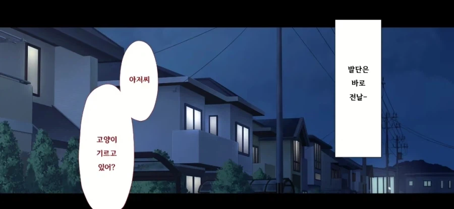 집에서 고양이 키우는 유게이들이 알아둬야하는 것_1.webp