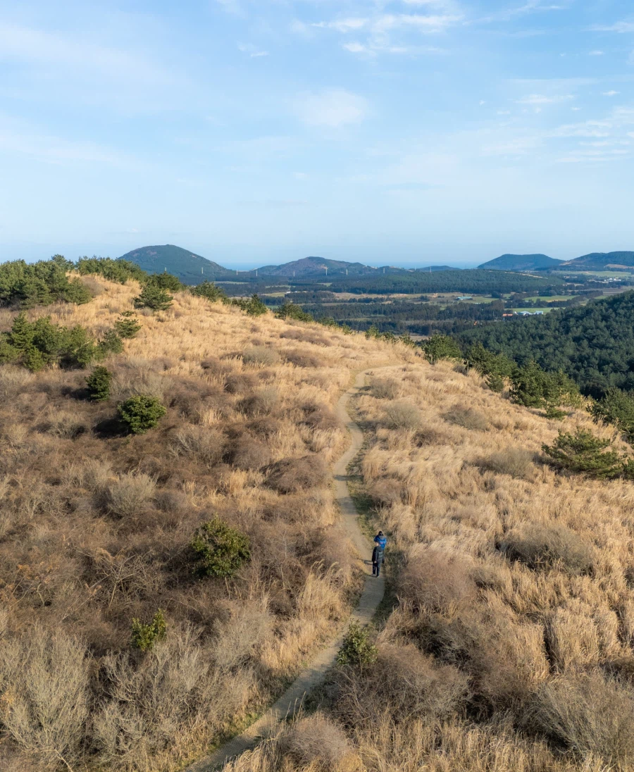 서귀포 안돌오름 드론샷_3.webp