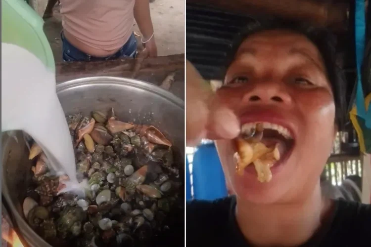 '악마게' 먹방 찍던 필리핀 유튜버, 이틀 만에 숨져.jpg_2.webp